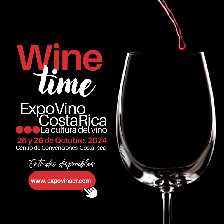 Llega la Expovino 2024  donde vas a poder disfrutar de lo mejor de la cultura del vino